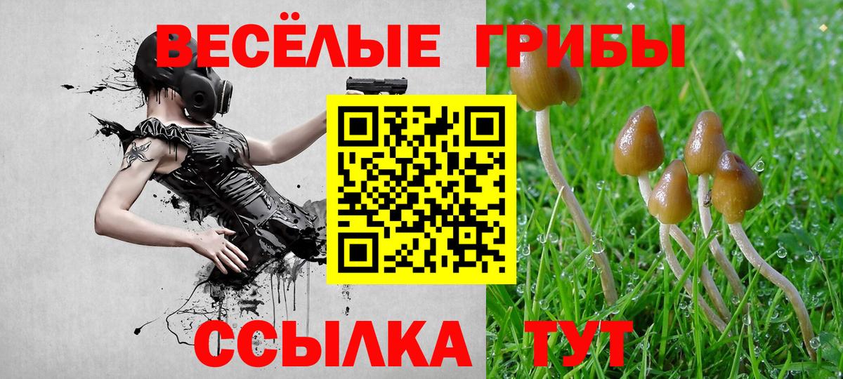 Псилоцибиновые грибы Psilocybe  Вход с VPN  продажа наркотиков  Ногинск 
