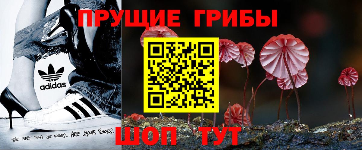 Псилоцибиновые грибы GOLDEN TEACHER Ногинск