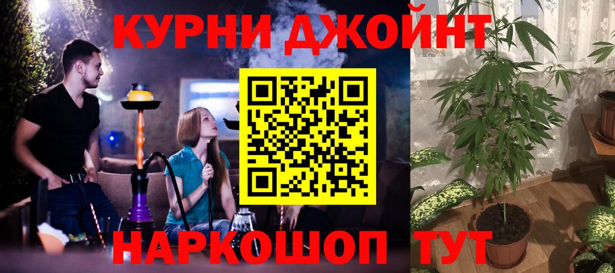 Конопля OG Kush Ногинск
